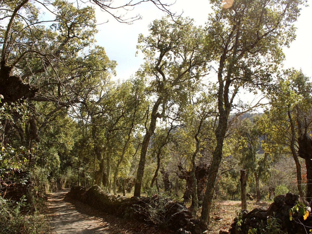 El Rincon De Marcelino ξενώνας Cortelazor Εξωτερικό φωτογραφία