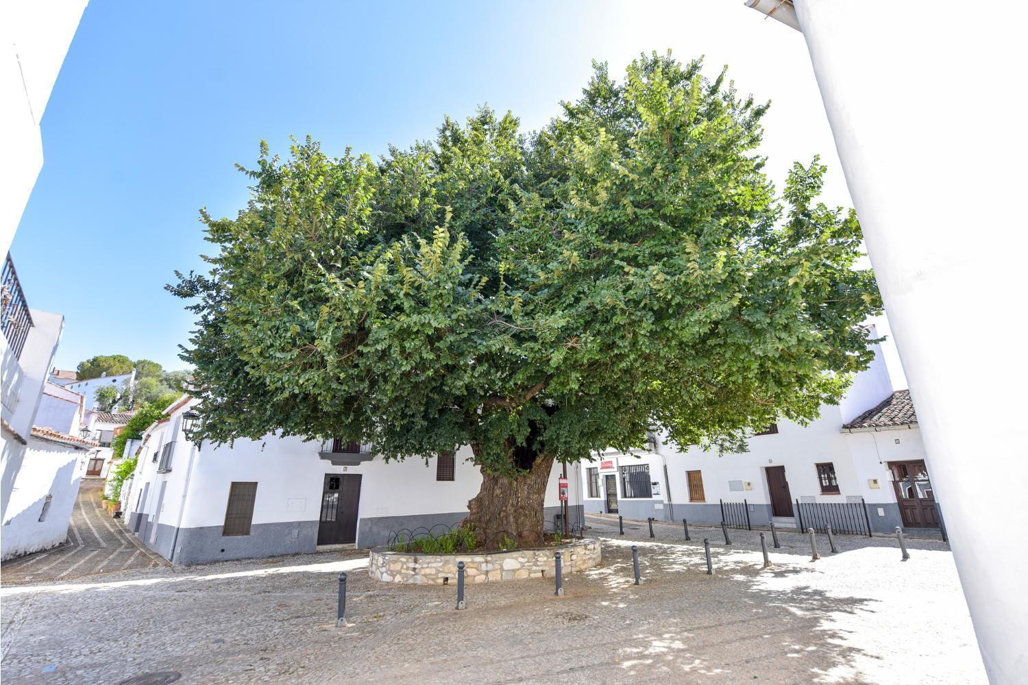 El Rincon De Marcelino ξενώνας Cortelazor Εξωτερικό φωτογραφία